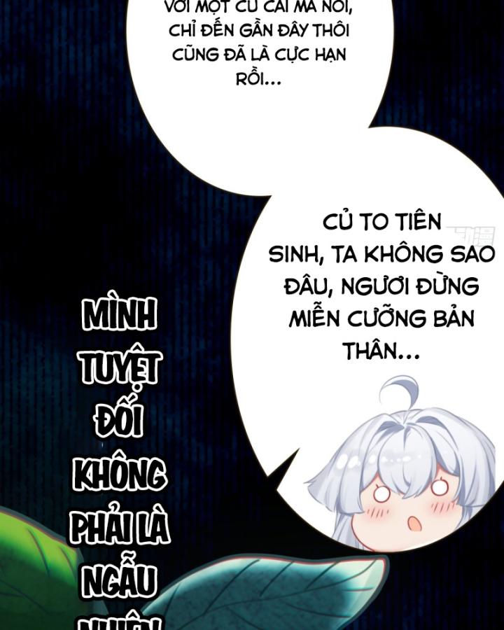 đừng Coi Thường Một Củ Cải Lớn! Chapter 2 - Trang 28