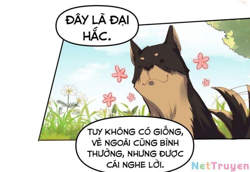 Nguyên Lai Ta Là Tu Tiên đại Lão Chapter 21 - Trang 26