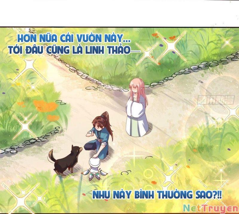 Nguyên Lai Ta Là Tu Tiên đại Lão Chapter 21 - Trang 30