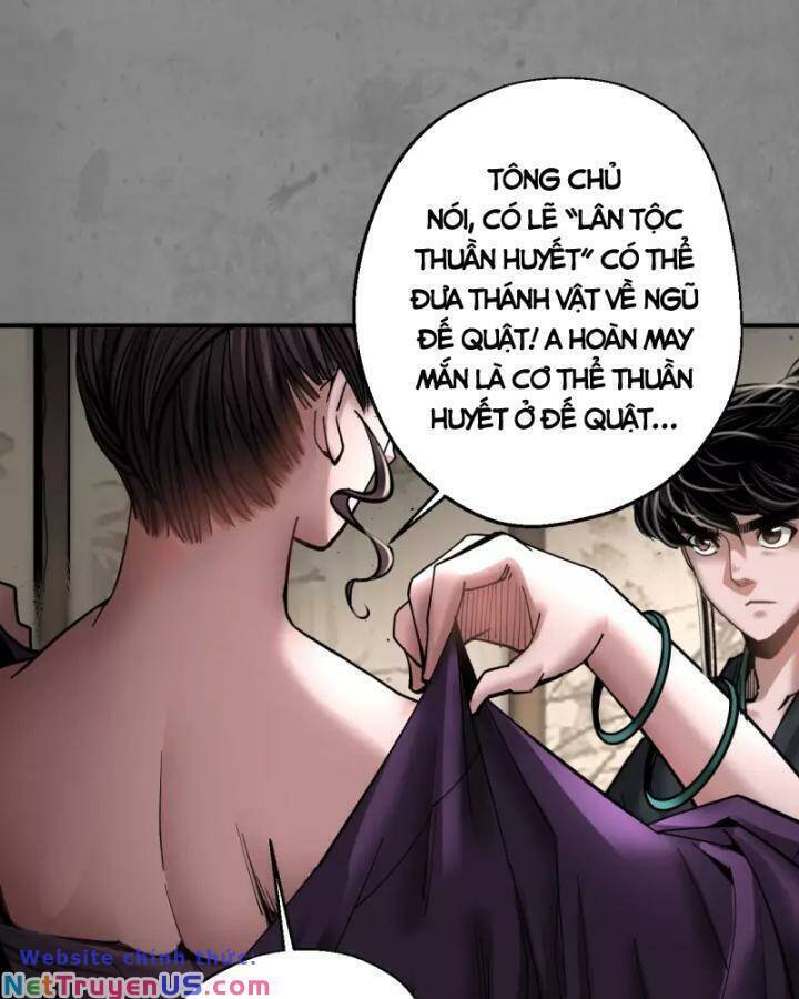 Tạng Phong Hành Chapter 183 - Trang 13