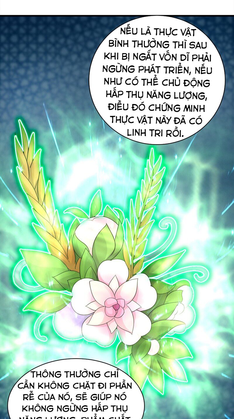 Cái Thế Đế Tôn Chapter 53 - Trang 27