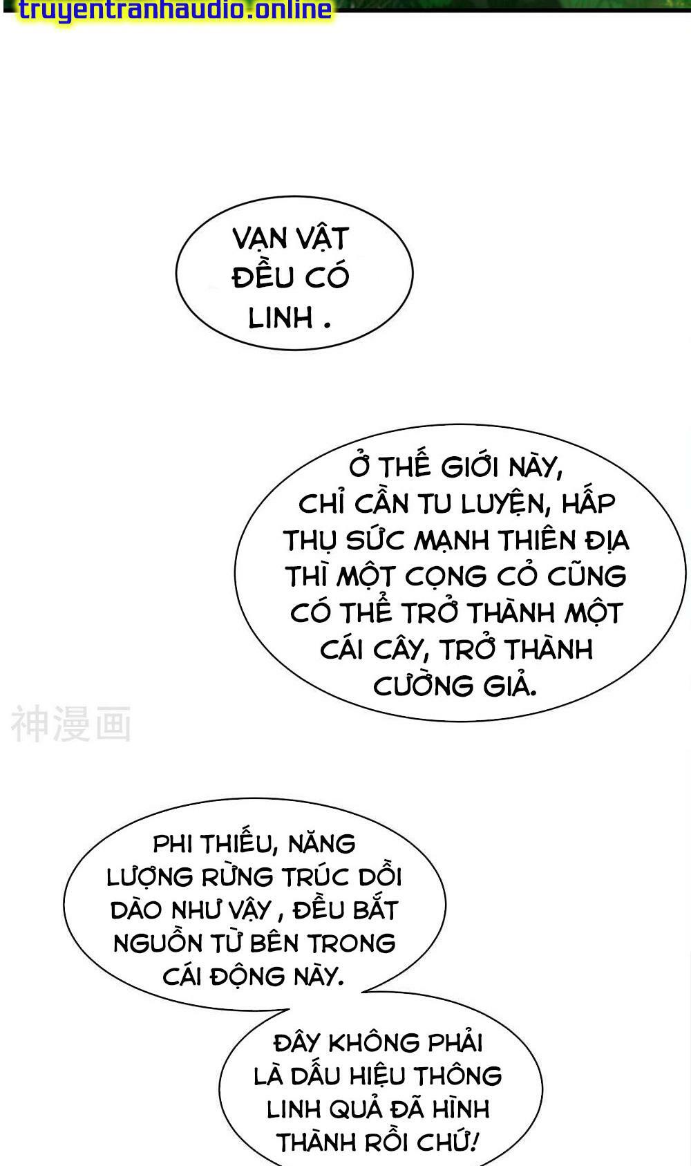 Cái Thế Đế Tôn Chapter 41 - Trang 6