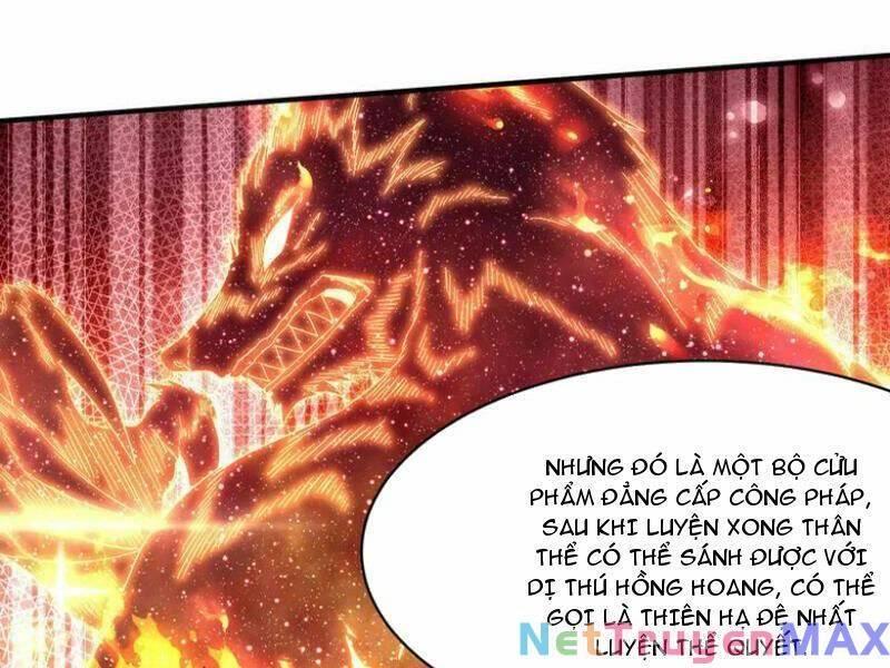 đệ Nhất Người ở Rể Chapter 264 - Trang 72