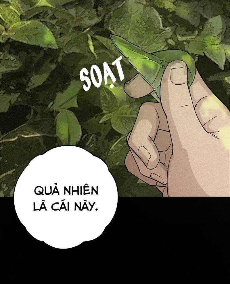 Ách Thế Quỹ Tích Chapter 36 - Trang 5