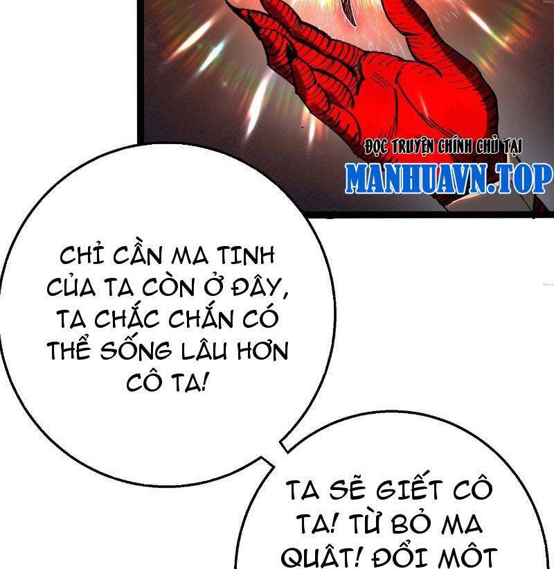 Ta Lại Nuôi Kẻ Thù Của Mình Chapter 2 - Trang 11