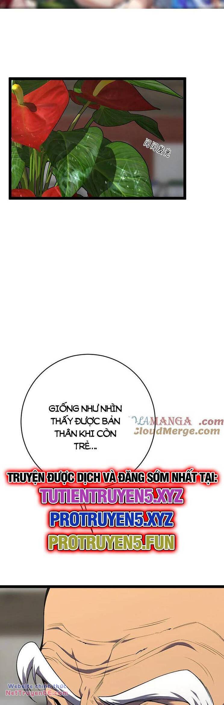 Thiên Phú Của Ngươi, Giờ Là Của Ta Chapter 75 - Trang 5