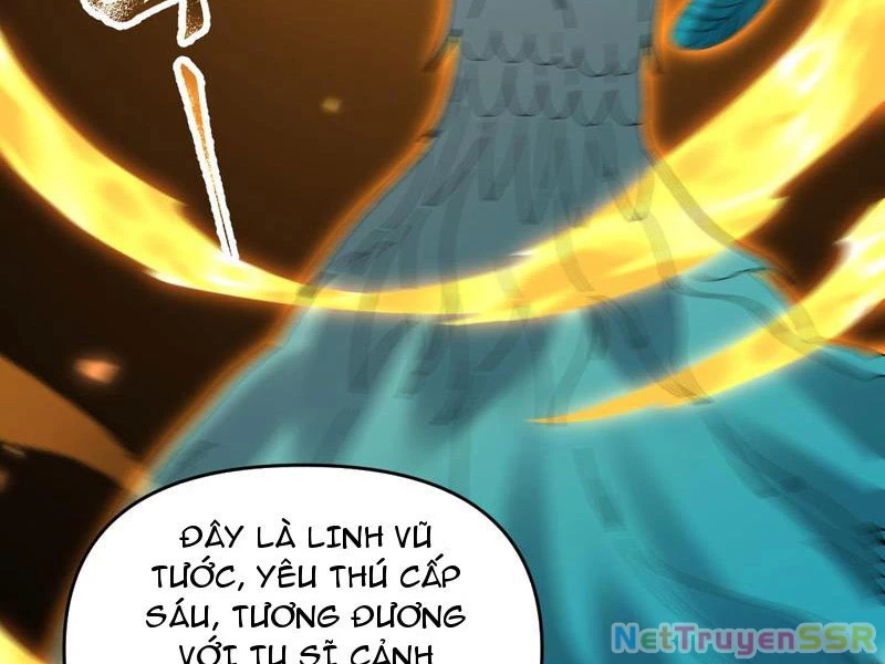 Bắt Đầu Chấn Kinh Nữ Đế Lão Bà, Ta Vô Địch! Chapter 14 - Trang 51