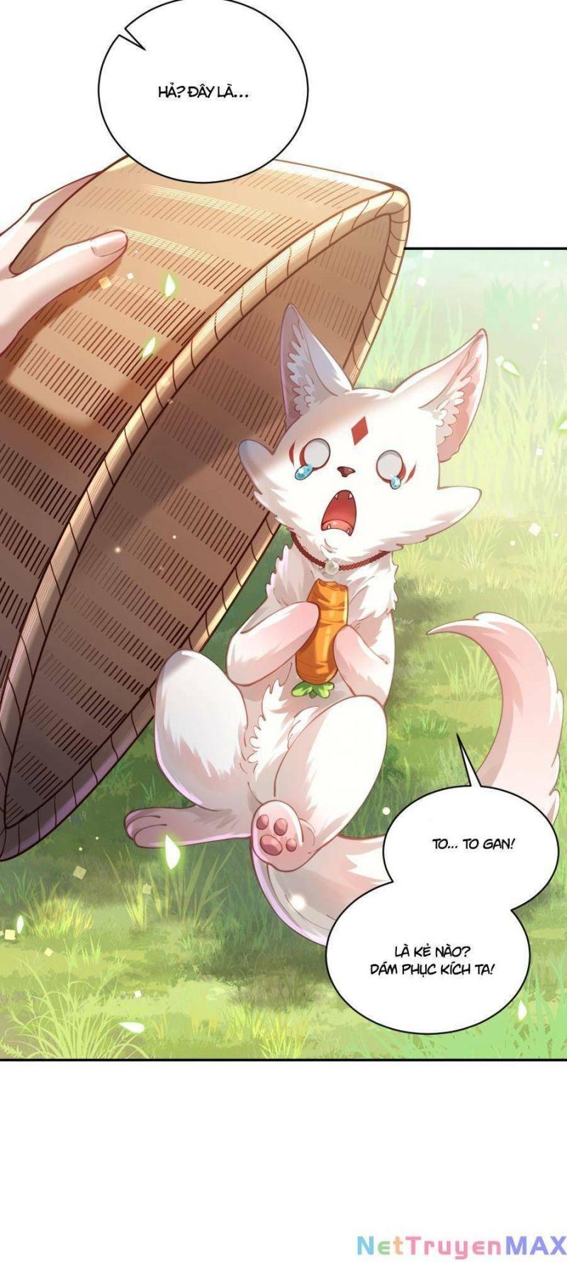 Hạo Kiếp Dư Sinh Chapter 22 - Trang 41