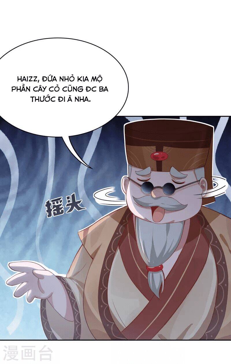 Ta Vốn Là Mèo Chapter 4 - Trang 54