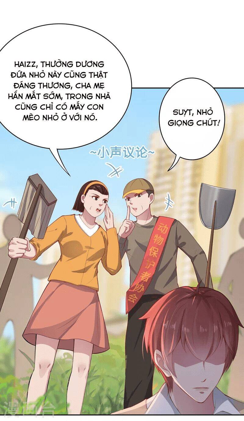 Ta Vốn Là Mèo Chapter 2 - Trang 11