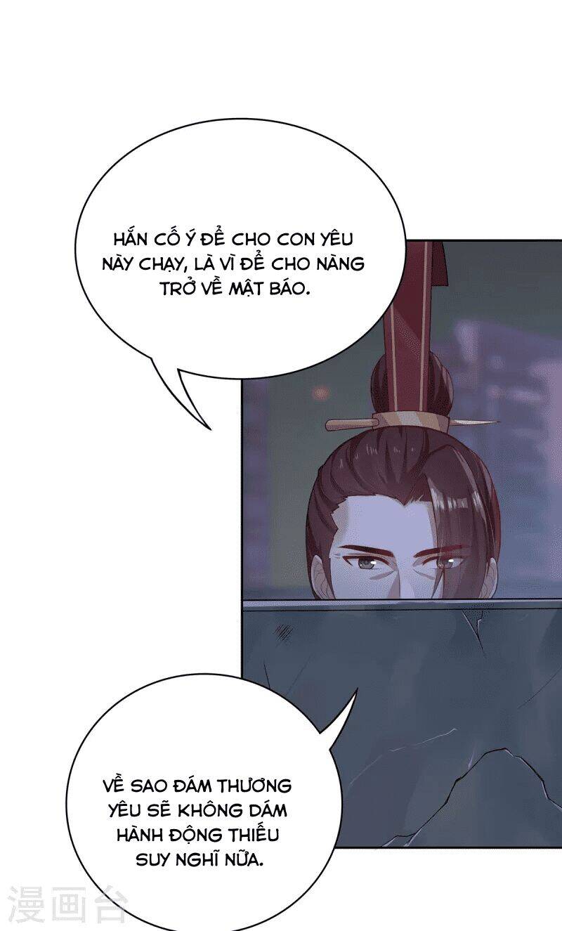 Ta Vốn Là Mèo Chapter 4 - Trang 29