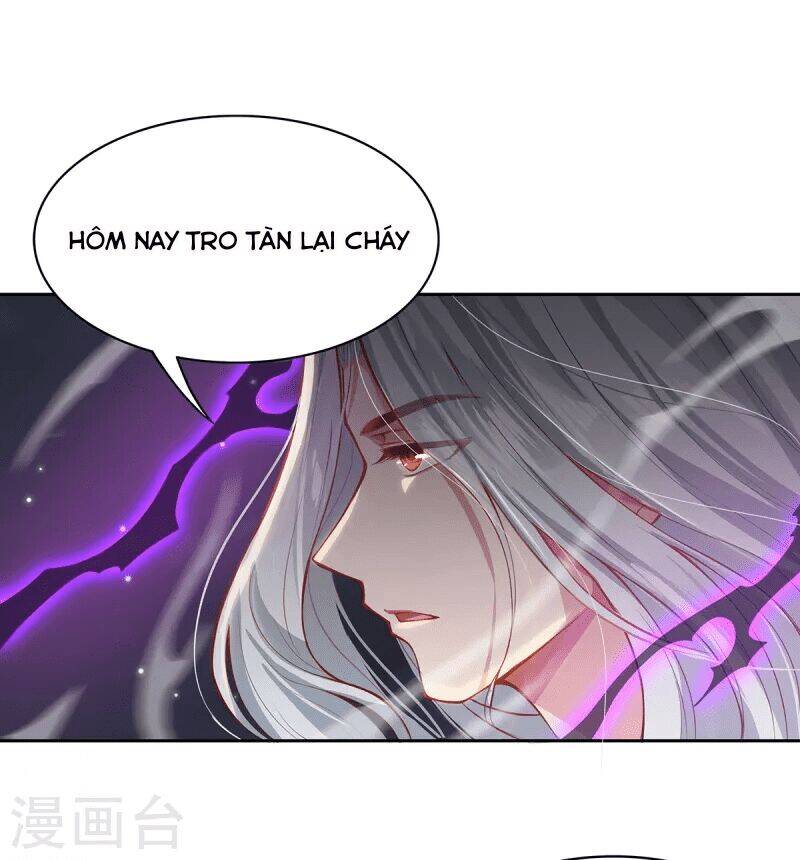 Ta Vốn Là Mèo Chapter 3 - Trang 4