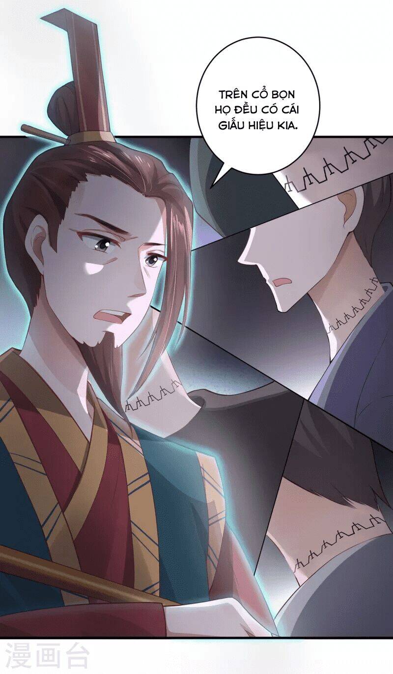 Ta Vốn Là Mèo Chapter 8 - Trang 10