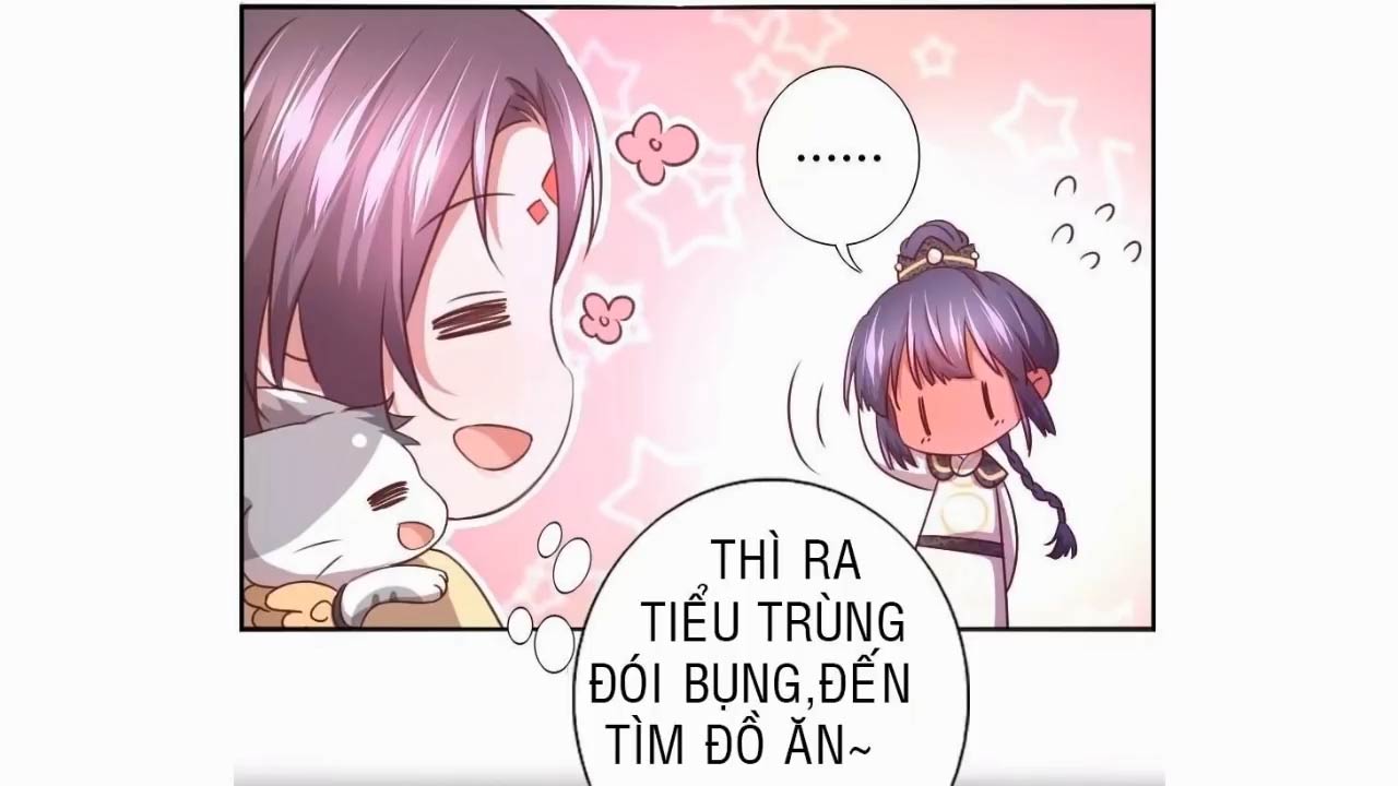 Thần Trù Cuồng Hậu Truyentranhyoyo Chapter 11 - Trang 5