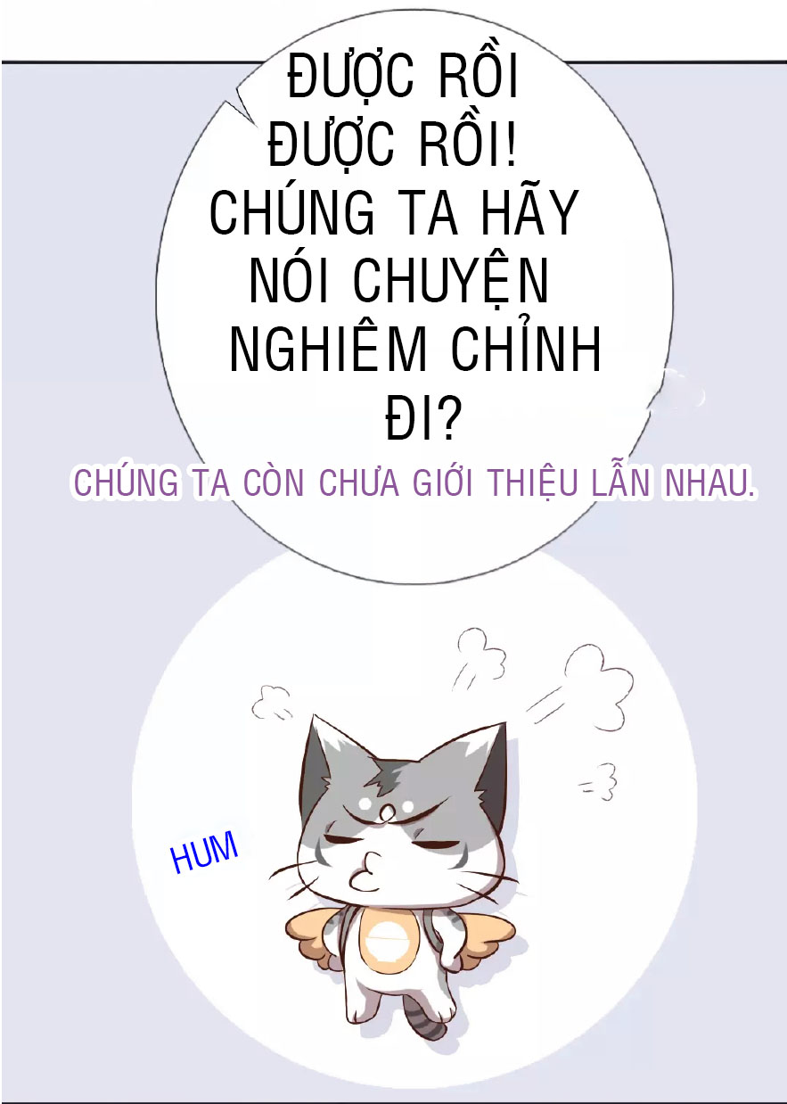 Thần Trù Cuồng Hậu Truyentranhyoyo Chapter 5 - Trang 7