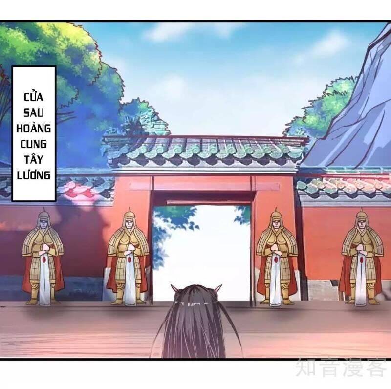 Tối Cường Đại Biểu Hoàng Kim Thận Chapter 81 - Trang 9