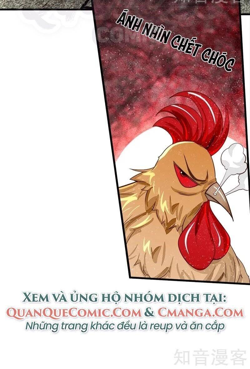 Đệ Nhất Hoàn Khố Chapter 95 - Trang 1