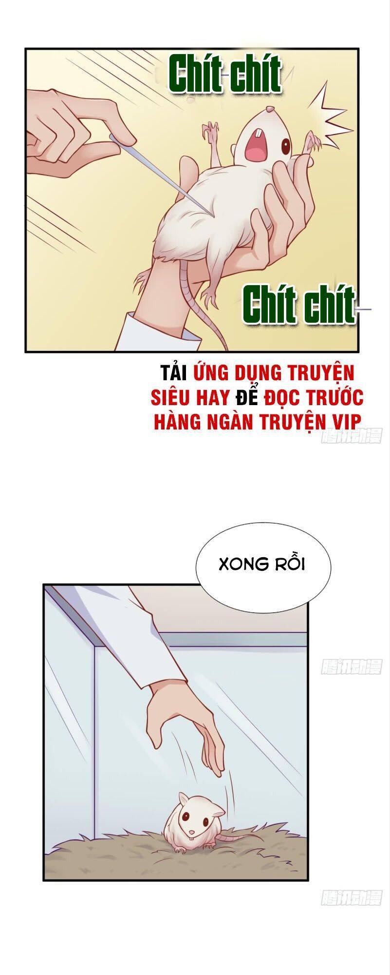 Bác Sĩ Riêng Của Nữ Thần Chapter 104 - Trang 7