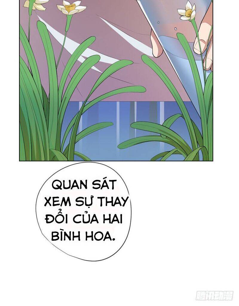 Nghịch Thiên Thần Y Chapter 72 - Trang 24