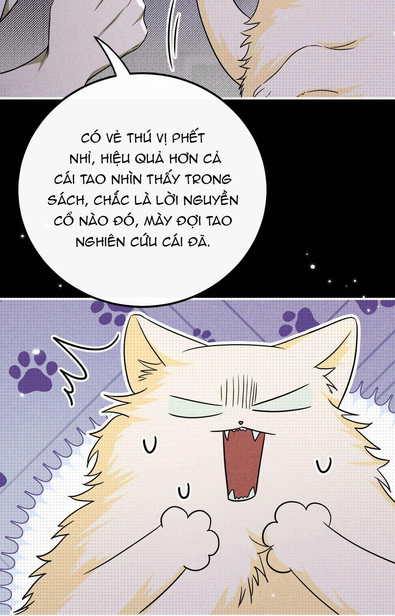 Chí âm Chí Dương Chapter 27 - Trang 11