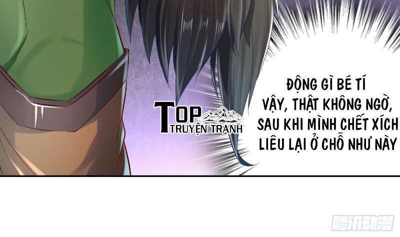 Trùng Sinh Ma Tôn Lộng Quyền Chapter 19 - Trang 5