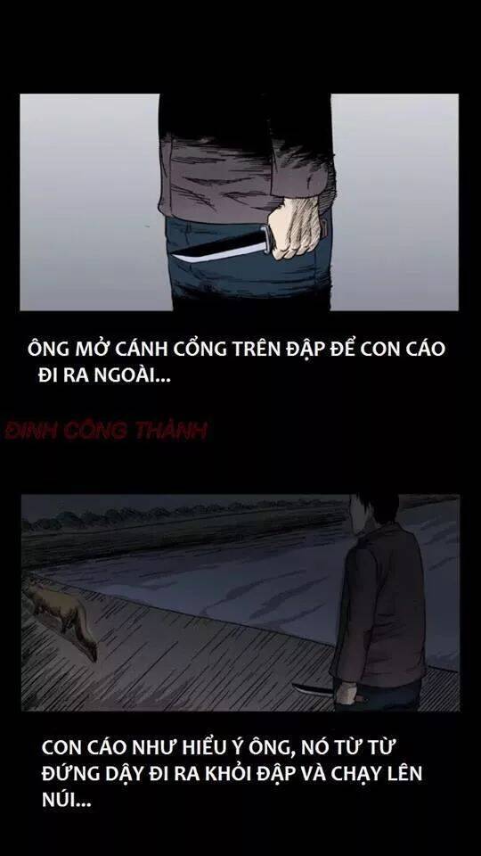 Thầy Súng Kể Chuyện Ma Chapter 36 - Trang 8