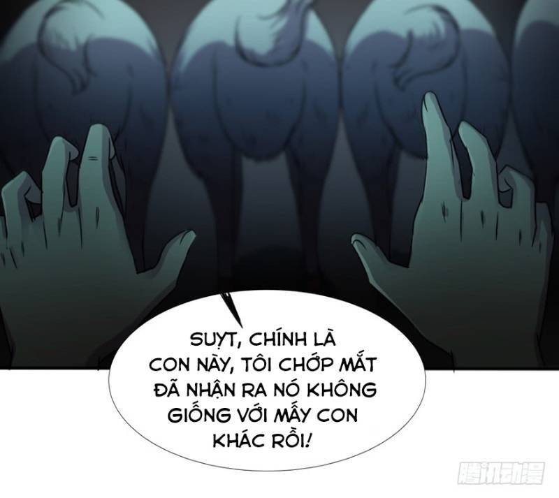 Thập Nhị Thiên Kiếp Chapter 27 - Trang 17