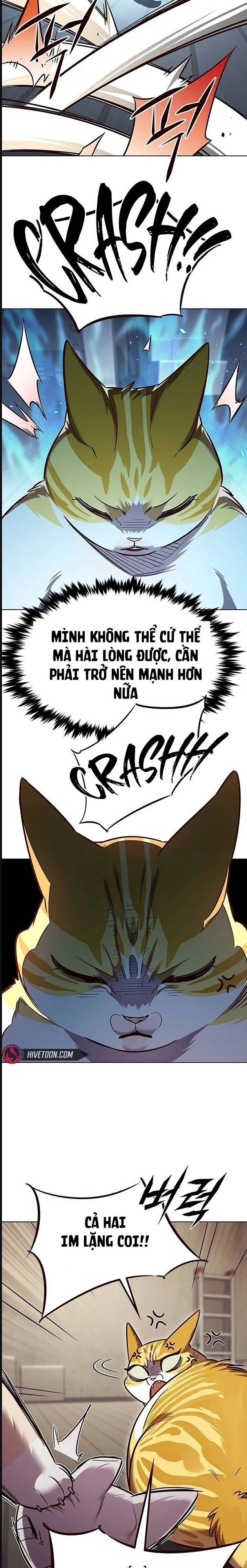 Hóa Thân Thành Mèo Chapter 322 - Trang 17