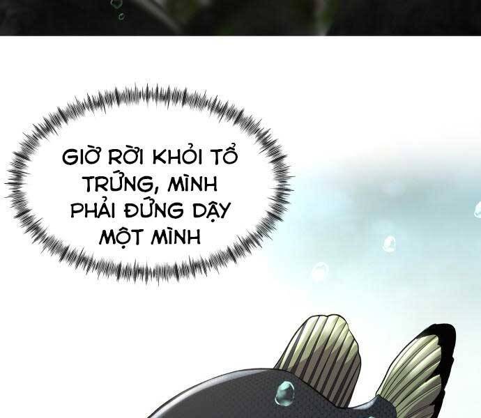 Hoá Thân Thành Cá Chapter 6 - Trang 5