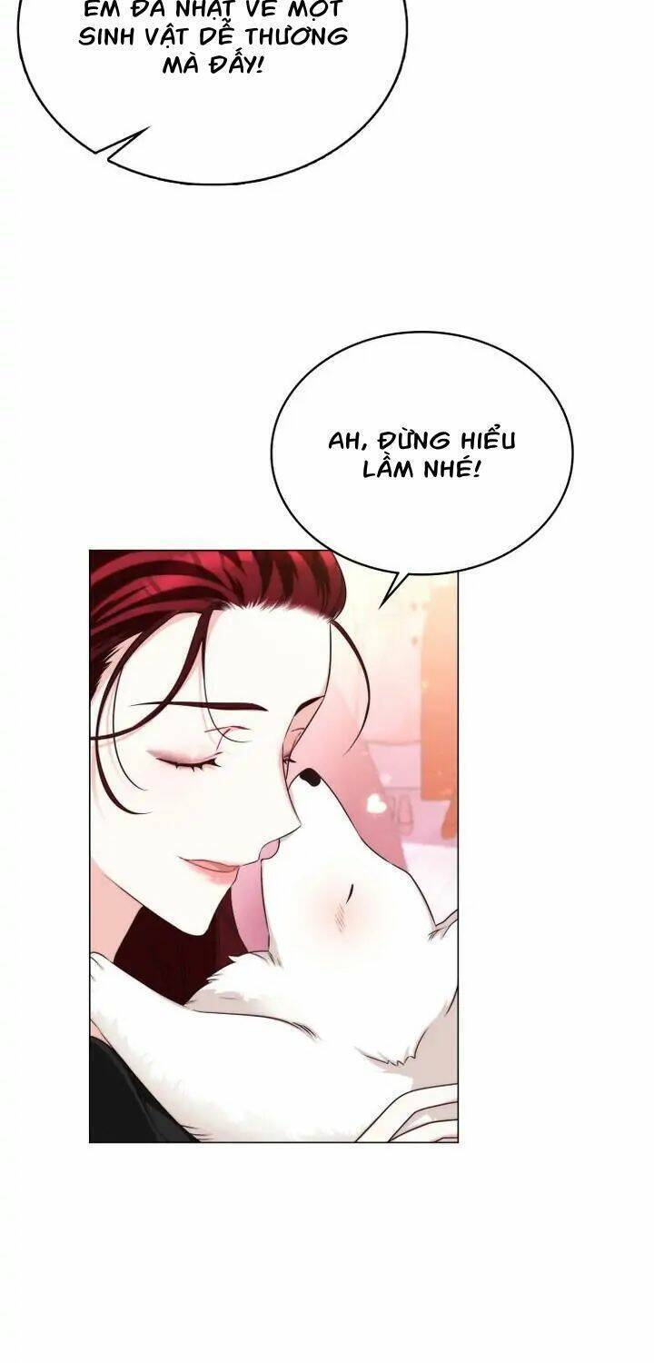 Ánh Sáng Vàng Của Bình Minh Chapter 6 - Trang 26