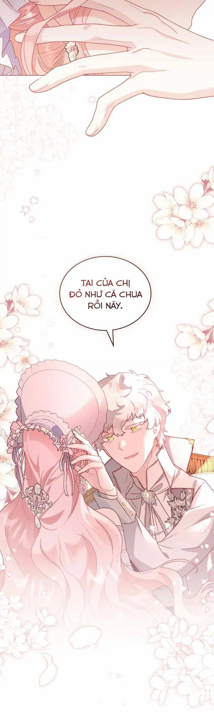 Ánh Sáng Vàng Của Bình Minh Chapter 51 - Trang 4