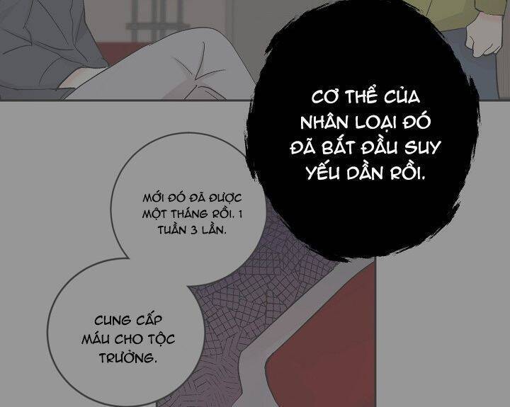 Kẻ Cắp Mặt Trăng Chapter 34 - Trang 33