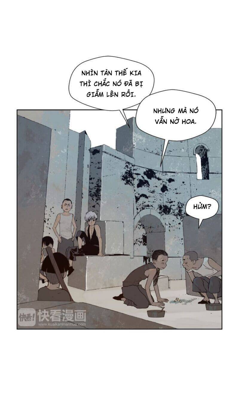 Vinh Quang Kiếm Chapter 31 - Trang 29