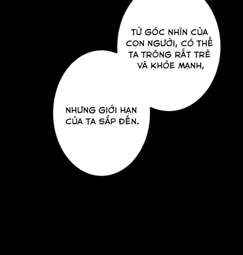 Sát Thủ Mạnh Nhất Chuyển Sinh Sang Thế Giới Khác Chapter 38 - Trang 56