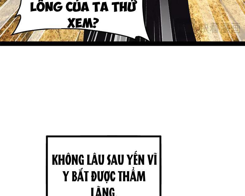 Chàng Rể Mạnh Nhất Lịch Sử Chapter 240 - Trang 53