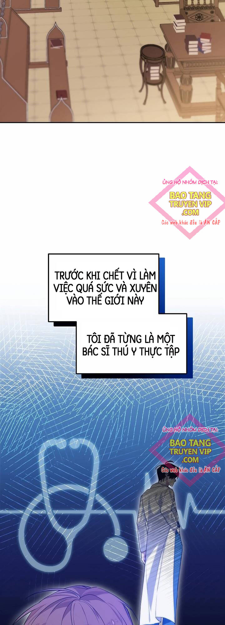 Thuần Thú Sư Thiên Tài Chapter 4 - Trang 11