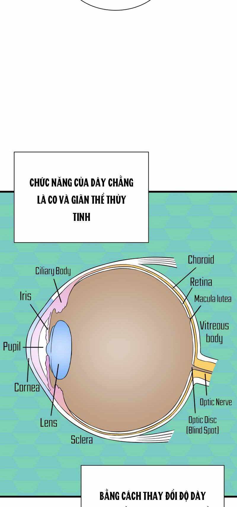 Bác Sĩ Hoàn Hảo Chapter 6 - Trang 45