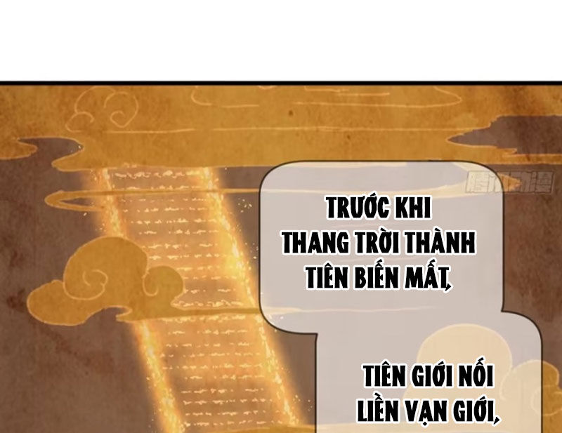 Đại Thừa Kỳ Mới Có Nghịch Tập Hệ Thống Chapter 41 - Trang 77