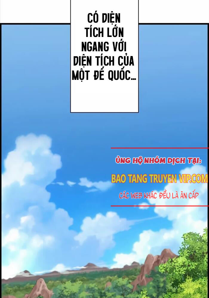 đặc Tính Tiến Hóa Của Chiêu Hồn Sư Chapter 74 - Trang 1