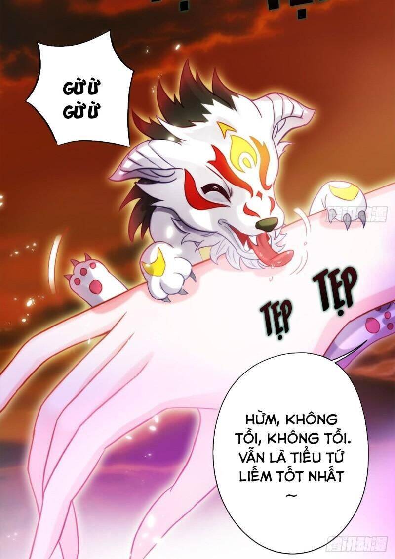 Bất Hủ Phàm Nhân Chapter 40 - Trang 8