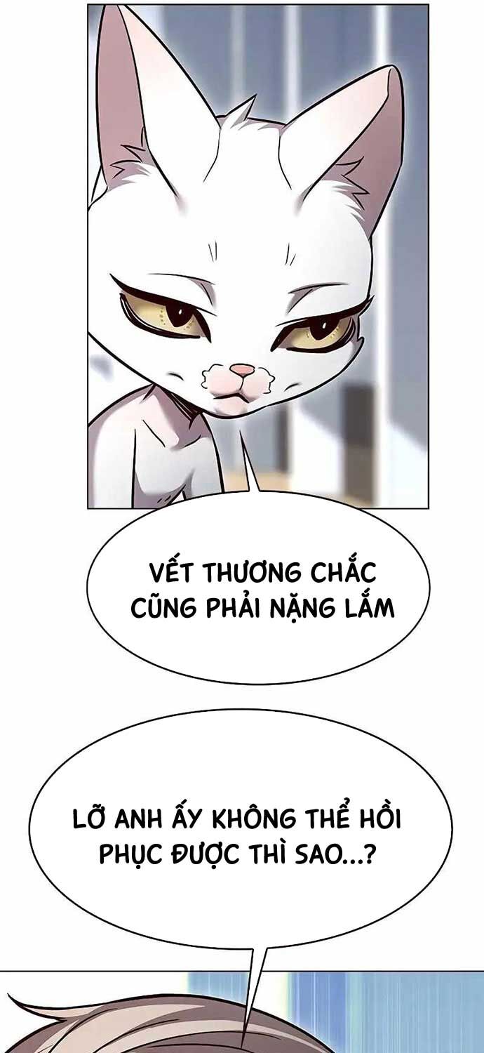 Hóa Thân Thành Mèo Chapter 323 - Trang 10