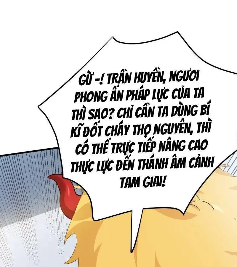 Ẩn Cư Mười Vạn Năm, Đời Sau Mời Ta Rời Núi Chapter 234 - Trang 24