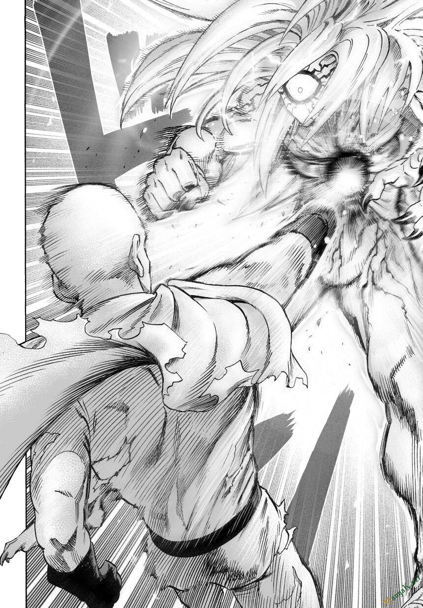 Onepunch Man Chapter 47 - Trang 11