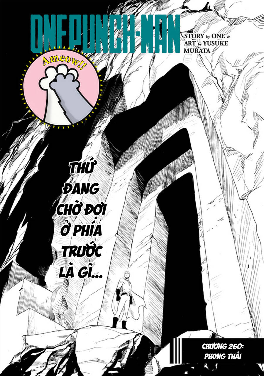 Onepunch Man Chapter 260 - Trang 0