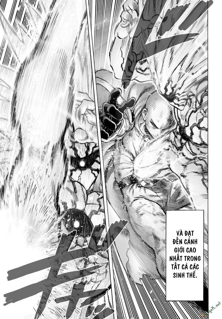 Onepunch Man Chapter 46 - Trang 13