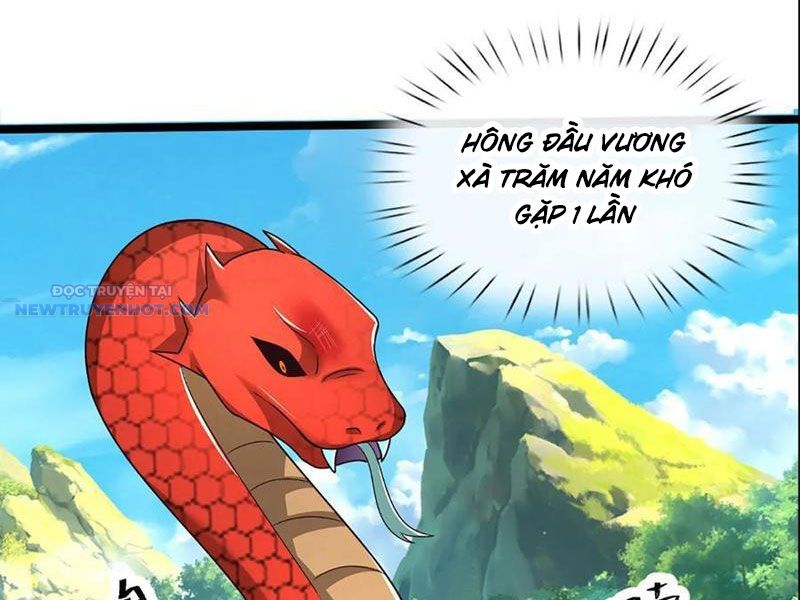 Khắc đan Tu Tiên Chỉ Cẩu Trường Sinh chapter 65 - Trang 2