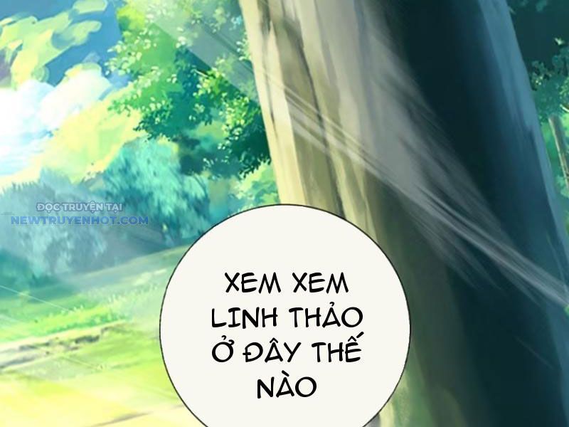 Khắc đan Tu Tiên Chỉ Cẩu Trường Sinh chapter 68 - Trang 25