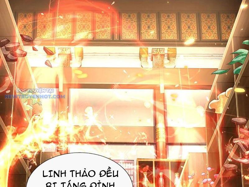 Khắc đan Tu Tiên Chỉ Cẩu Trường Sinh chapter 39 - Trang 11