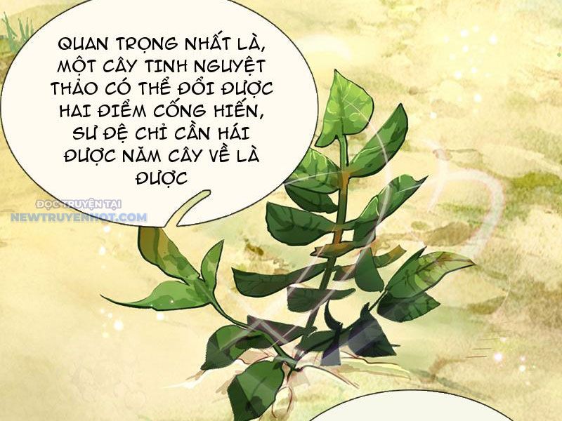 Khắc đan Tu Tiên Chỉ Cẩu Trường Sinh chapter 15 - Trang 31