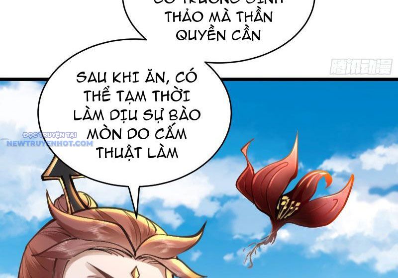 Trường Sinh Bất Tử Ta Chỉ Tu Cấm Thuật chapter 42 - Trang 29